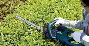 Aparador De Cercas 650Mm - Uh6570-220V - Makita