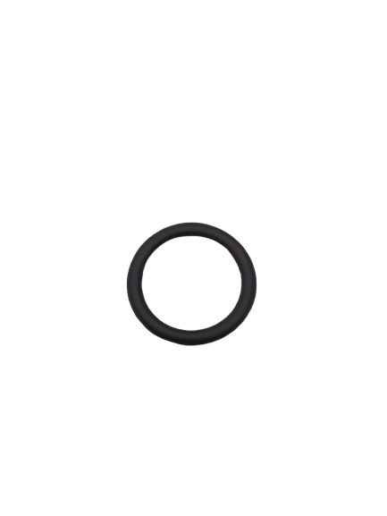 Anel O Ring 16X2,65 N553858