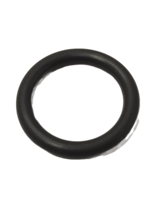 Anel Oring 19X3,5 N487314