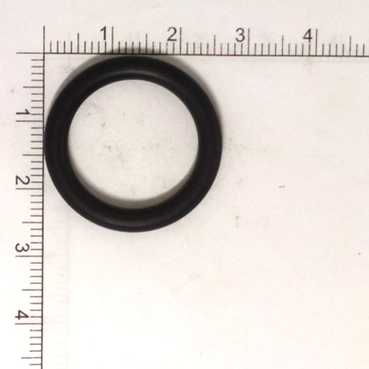 Anel Oring 19X3,5 N487314
