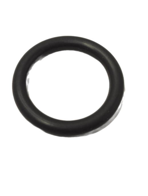 Anel Oring 19X3,5 N487314