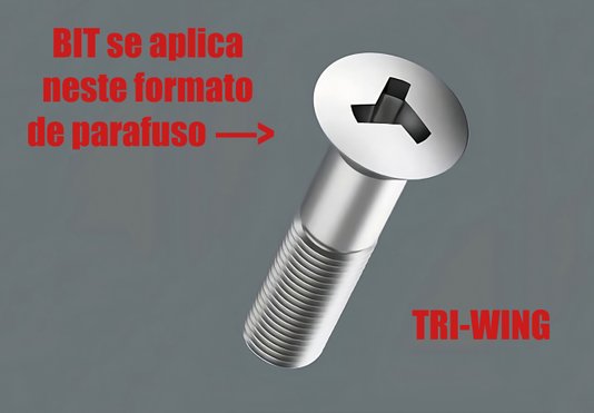 Bit Tri-Wing 1/4 X 75Mm 1R313