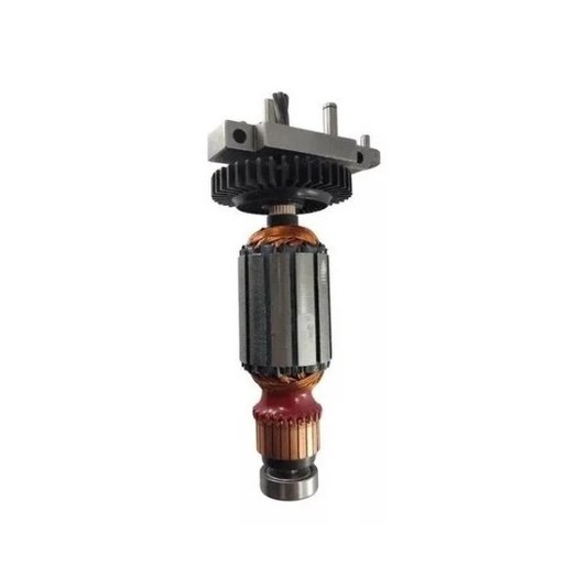 Conj. Rotor C/Rolam 127V  Dwe300 N824847