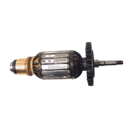 Conj.rotor C/Rolamento 2 20V D28493Pw N145517S
