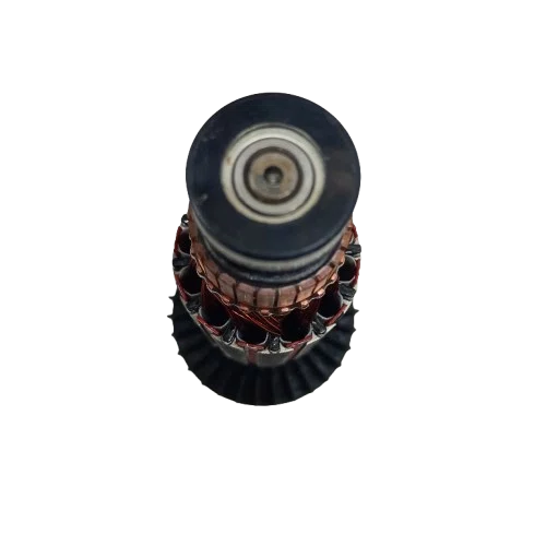 Conjunto Induzido 127V Skil 1859 - F000605238 - Bosch