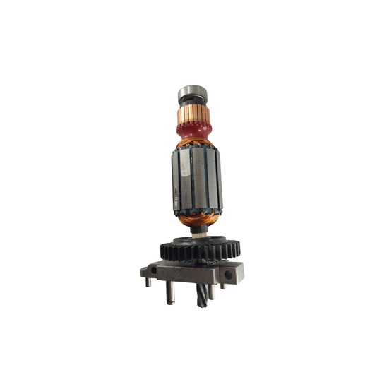 Conjunto Rotor C/Rolamento 220V  Dwe300 - N824846 - Dewalt