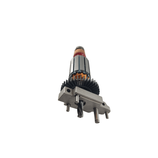 Conjunto Rotor C/Rolamento 220V  Dwe300 - N824846 - Dewalt