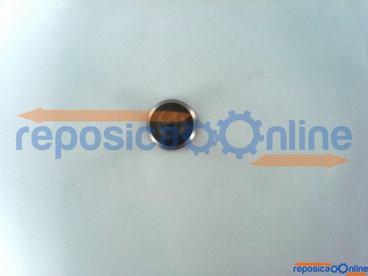 34005004 - Válvula De Admissão - 9739.8 - Gmeg