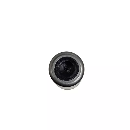 Haste Do Interruptor Para Lavadora De Pressão Wg620E Worx - 50039574