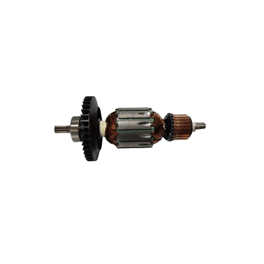 Induzido 220V 6604 - 1604010B8S - Bosch