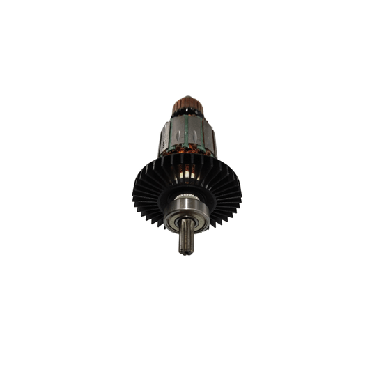 Induzido 220V 6604 - 1604010B8S - Bosch