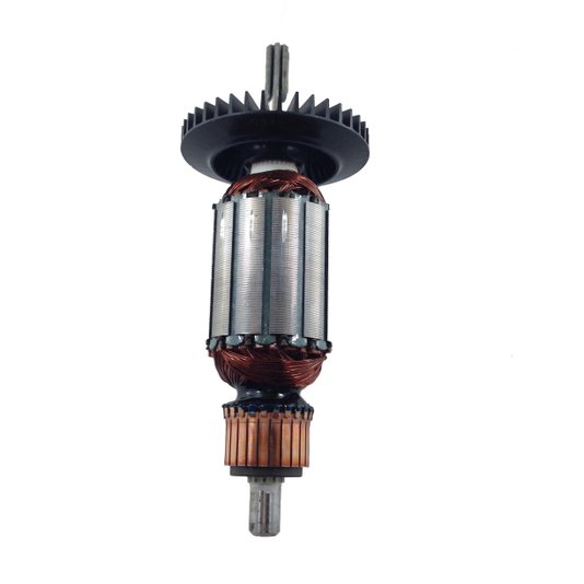 Induzido Rotor 220V P/ Gsb 13 Re 1604010B3V - Bosch