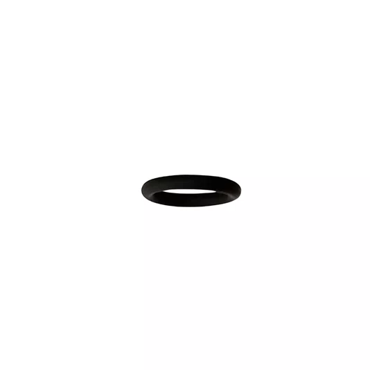 O-Ring Para Lavadora De Alta Pressão Wg620E Worx - 50035538