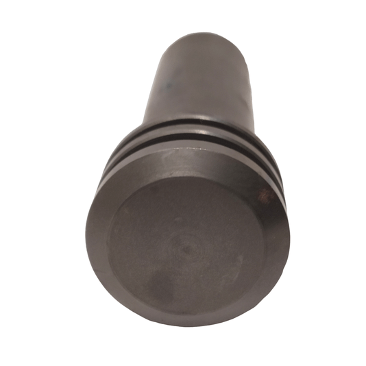 Percursor - 1613123003 - Bosch