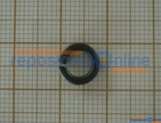 Arruela De Pressao - 443063202010 - Einhell