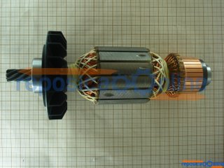 Induzido 127 V - 1609B03563 - Bosch