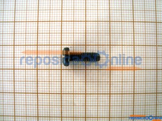 Parafuso P/ Tt 1589.7 Bosch - 2603410049