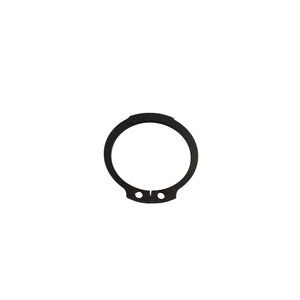 Anel - 2916650037 - Bosch