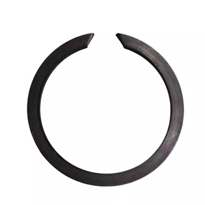 Anel De Segurança Bosch - 160015001V