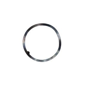 Arruela Bosch - 1619P20965