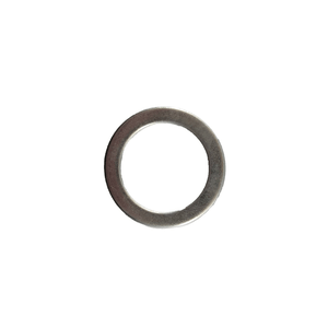 Arruela / Anel 20X25X2 P/ Paleteira Pml-2500 Lynus - 8323.8