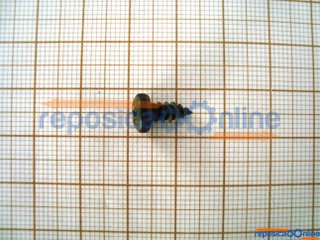 Parafuso Cabeça Panela 4X9Mm P/ Fg-13B - Pia1020016 - Ferrari