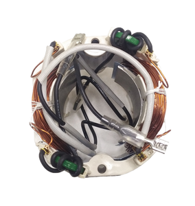 Conj. Estator 220V Na289852
