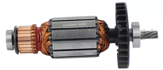 Conj.rotor Com Rolam 120 V Ssp Dwe560 Na550319S