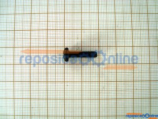 Parafuso Bosch - 1619P01251