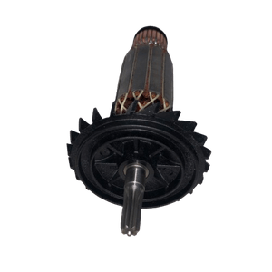 Induzido 1619P21036000