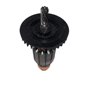 Induzido 1619Pc0335000