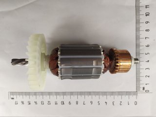 Induzido 220 V - 1619Pa7851 - Bosch