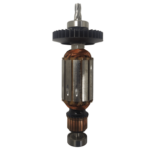 Induzido Gsb 20 2Re 220V 1604010Bs4000