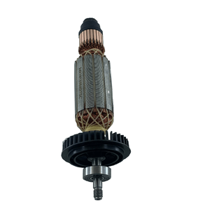 Induzido Bosch - 1619P09115