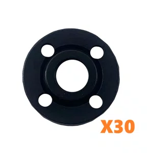 Kit 30 Unidades - Flange - 1600A00C16 - Skil Bosch