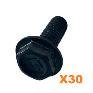 Kit 30 Unidades - Parafuso Do Disco Para Serra Marmore Skil 9815 - 1619Pa3460