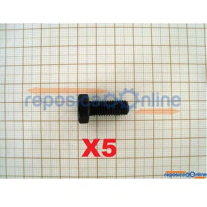 Kit 5 Unidades - Parafuso da flange Skil Bosch / F000616279