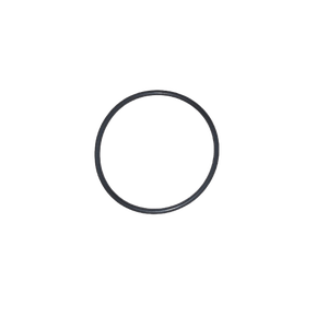 O-Ring - 160021006D - Bosch