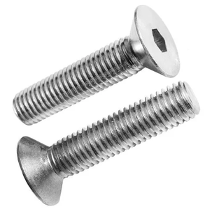 Parafuso De Cabeca Chata 1619Pb6206000