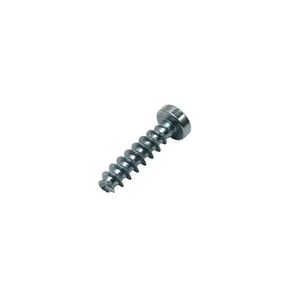 Parafuso Lonticular Torx 2914201527000