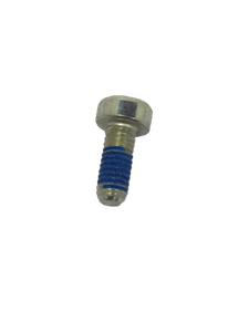 Parafuso Torx De Cabeça Plana - 1600A0015H - Bosch