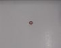 Anel Oring - 1004570-69 - Black&Decker
