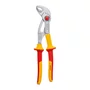 Bosch Alicate Para Bombas De Água 250Mm Vde - 1600A02Ne5