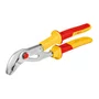 Bosch Alicate Para Bombas De Água 250Mm Vde - 1600A02Ne5