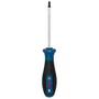 Chave Bosch Pro Tx25 100 Mm 1600A039Sc