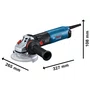 Esmerilhadeira 125Mm (5") Gws 17-125 S Inox 220V + 20 Discos de Desbaste 115mm Grão A36N