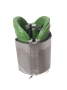 Estator 220V Na121614
