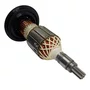 1619P15184 Bosch - Conjunto Induzido 220V Para Martelo Demolidor Gsh 11 E