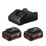 Kit Bosch 2 Baterias Gba 18V 4,0Ah E Carregador Gal 18V-20 Bivolt