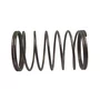 1614621007  Bosch - Mola De Compressão Para Martelo De Demolição Gsh 5 Ce